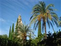 Andalusie, Cordoba