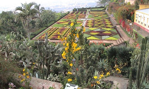 Madeira květinový festival a Lisabon - Madeira