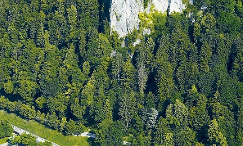 Slovinsko - krajem ledovcových jezer - Bledský hrad