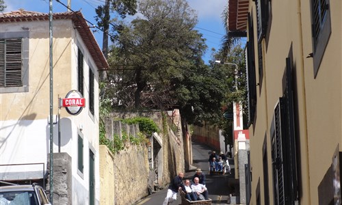 Madeira - květinová a turistická - Monte Funchal