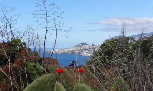 Madeira - květinová a turistická - Funchal z Cabo Garajau