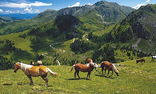 Prodloužený víkend v Korutanech - Rakousko, Nockalmstrasse