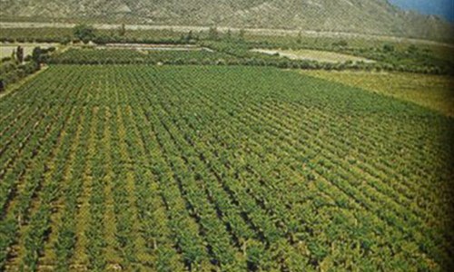 Mezi Argentinou a Chile - po vinných stezkách a nejen po nich