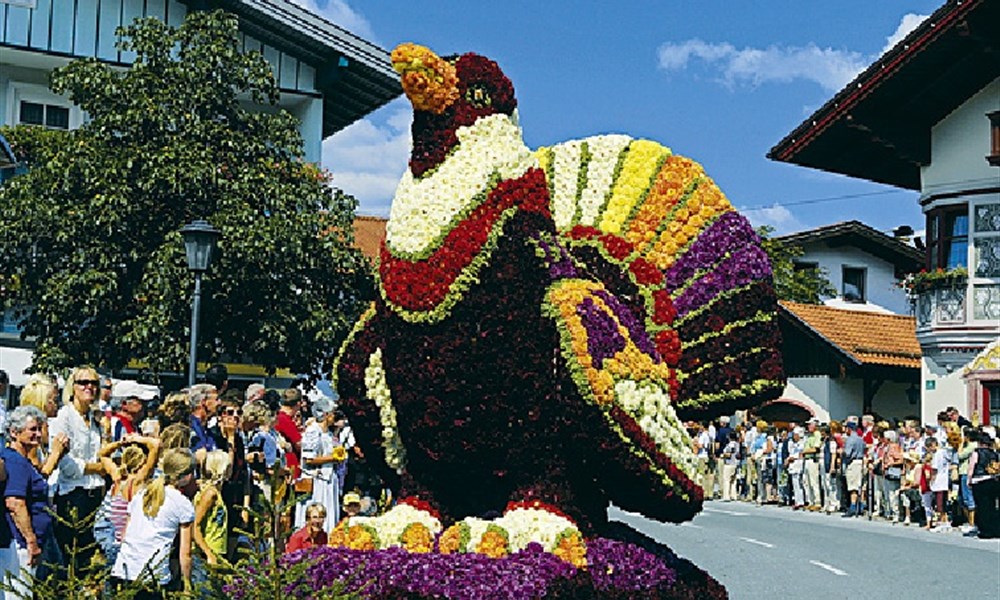 Festival narcisů v Solné komoře