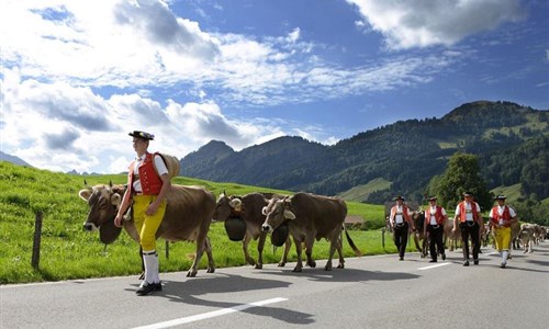 S kartou do tří zemí u Bodamského jezera a do kraje Heidi - S kartou do tří zemí u Bodamského jezera