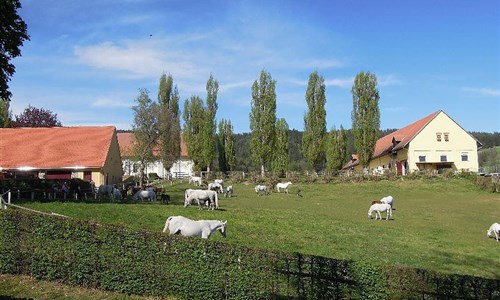 Štýrsko - rakouské Toskánsko - Štýrsko - rakouské Toskánsko