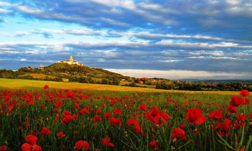 Babí léto v termálech u Balatonu - Babí léto v termálech u Balatonu