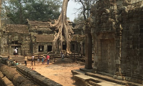 Laos a Kambodža s koupáním - Kambodža - chrám Ta Prohm