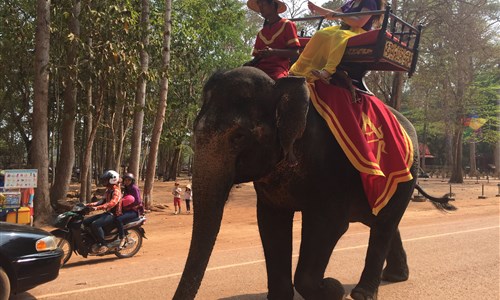 Angkor Wat a koupání v Kambodže - Kambodža