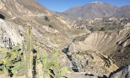 To nejlepší z Peru - Kaňon Colca