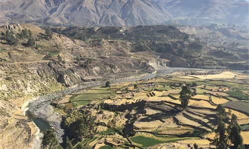 To nejlepší z Peru - Kaňon Colca