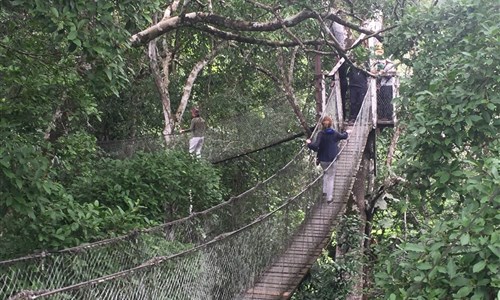 To nejlepší z Peru - Amazonie - Canopy tour