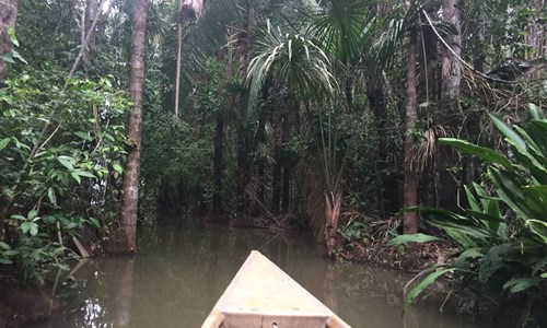 To nejlepší z Peru - Amazonie - výlet na jezero Sandoval