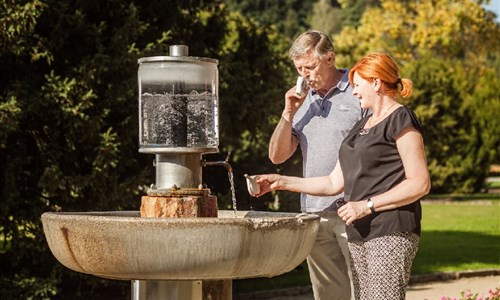 Ambra Wellness hotel**** - odpočinek ve všedních dnech - Ambra Luhačovice prameny