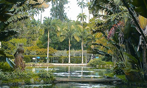 Rio de Janeiro, pobyt v nejkrásnějším městě světa - Rio de Janeiro - botanická zahrada