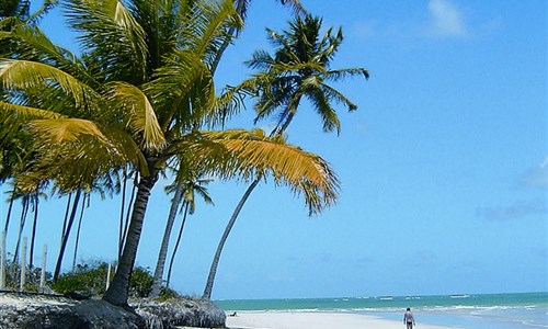 To nejlepší z Brazílie - Praia dos Carneiros