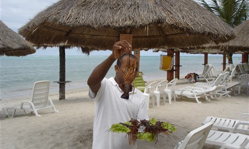 Pernambuco - nejkrásnější pláže Brazílie - Pernambuco - Praia dos Carneiros