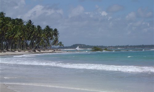 Pernambuco - nejkrásnější pláže Brazílie - Pernambuco - pláže