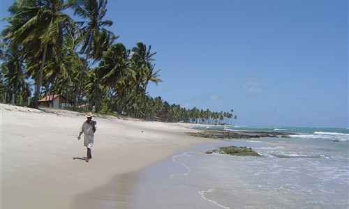 Pernambuco - nejkrásnější pláže Brazílie - Pernambuco - pláže