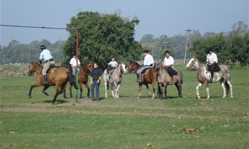 Buenos Aires a Montevideo - Aegentina, Fiesta gaucha