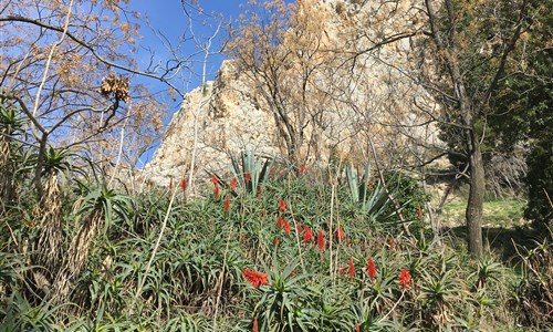 Andalusie netradičně - letecky z Brna - Málaga - příroda 02