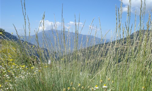 Andalusie netradičně - letecky z Brna - Španělsko - Alpujarra