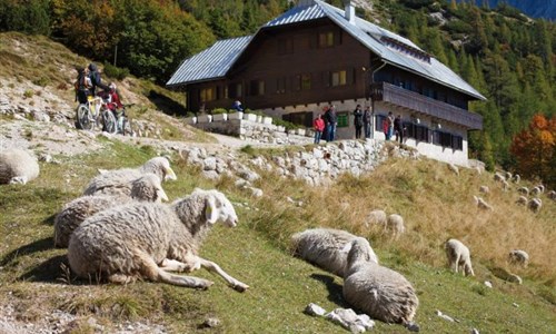 Z lázní Bled do Julských Alp a Lublaně - Z lázní Bled do Julských Alp a Lublaně - Slovinsko