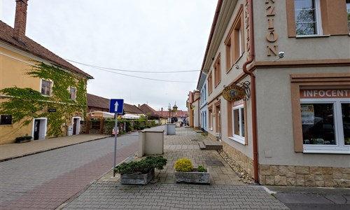 Lázeňské město a pohádkový zámek Bojnice - víkendová relaxace - Slovensko - Bojnice - Penzion v Zlatej uličke