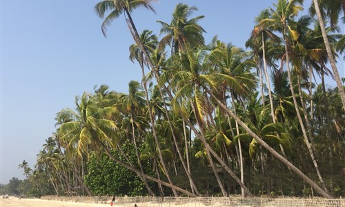 Myanmar - památky, příroda, koupání - pláž Ngapali