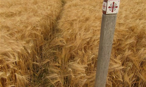 Norsko - cestou svatého Olafa - turistika - letecky - Norsko, cestou svatého Olafa