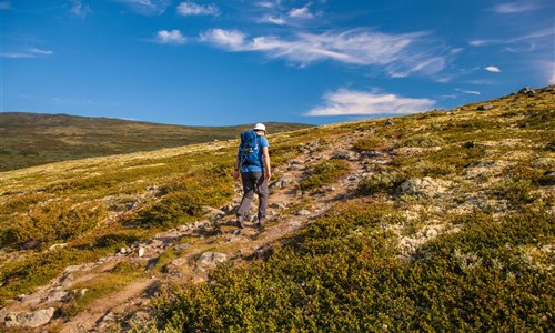 Norsko - cestou svatého Olafa - turistika - letecky - Norsko, Dornefjell