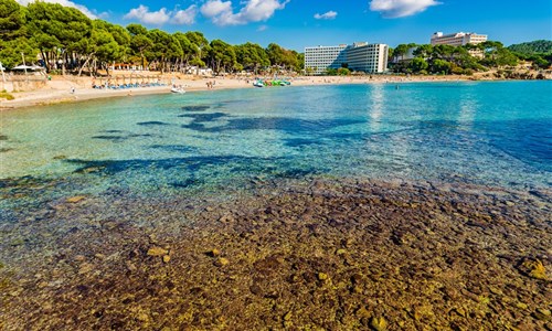 Hotel Vibra Beverly Playa**** - Mallorca, Paguera, hotel Beverly Playa