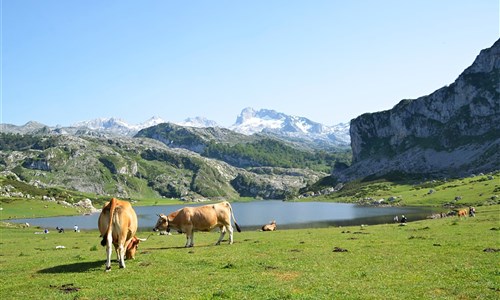 Svatojakubská pouť 2 - severní cestou přes Kantábrii, Asturii a Picos de Europa do Santiaga de Compostela - letecky - Picos de Europa