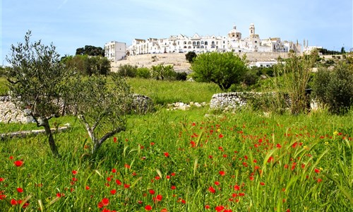 Apulie a Basilicata letecky - Itálie - Apulie - Locorotondo