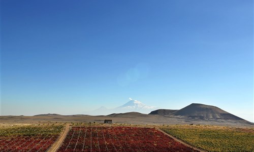 Vinařská Arménie - letecký zájezd - Armenie - vinařství