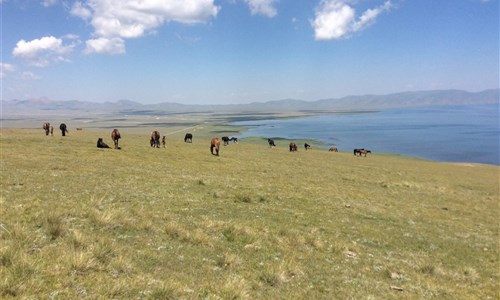 Kyrgyzstán - rajská příroda jezer a hor - Kyrgyzstan - u jezera Son-Kul