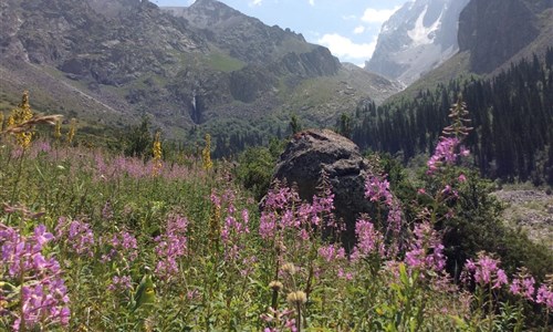 Kyrgyzstán - rajská příroda jezer a hor - Kyrgyzstan - údolí Chon-Kemin