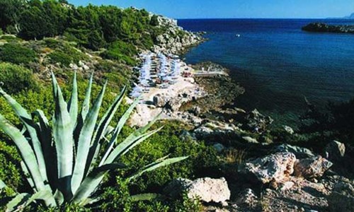 Studia Anemoni - Řecko, Rhodos - Faliraki