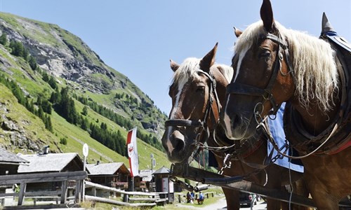 Východní Tyrolsko s wellness