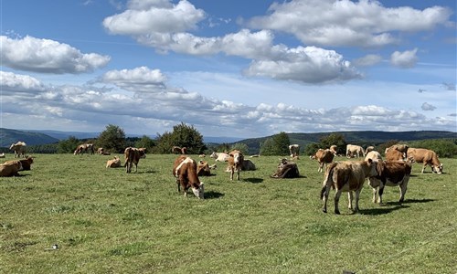 Krušné hory - Boží Dar - Západní Krušnohoří - oblast Mědníku