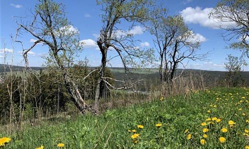 Krušné hory - Boží Dar - Západní Krušnohoří