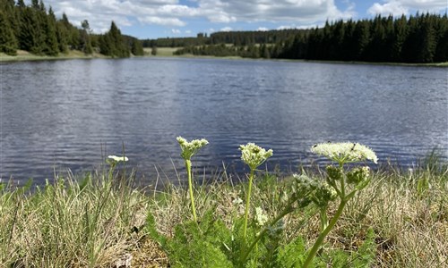 Krušné hory - Boží Dar - Západní Krušnohoří - oblast Horní Blatná