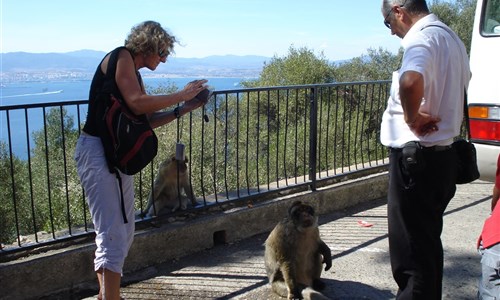 Pohodová Andalusie - Gibraltar