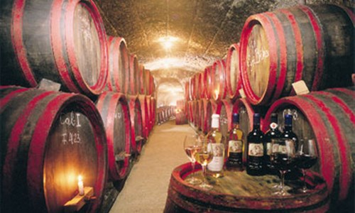 Maďarské termály, vína a Zakarpatská Ukrajina - Vinné sklípky