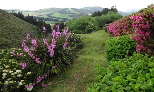 Azorské ostrovy - São Miguel – pěší turistika v zeleném ráji - letecky - Azory