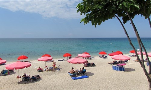 Studia Albatross Pefkari - Thassos, Pefkari- Studia Albatros