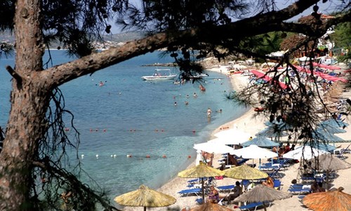 Studia Albatross Pefkari - Thassos, Pefkari- Studia Albatros