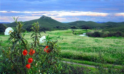 Od Extremadury po Aragón autobusem - Španělsko, Extremadura nature