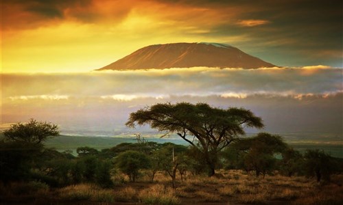 Keňa - Safari v Amboseli a Tsavo West a pobyt u moře - Keňa - Nár. park Amboseli, Kilimanjaro při západu slunce