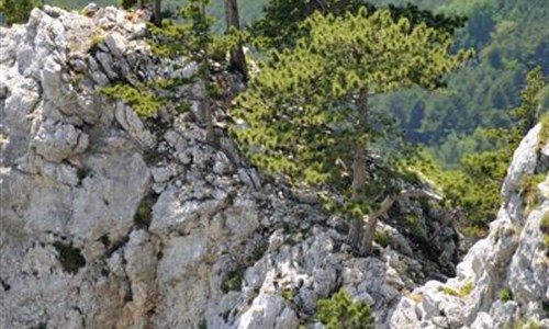 Skrz naskrz Hohewandem a souteskou Steinwandklamm - Rakousko, Hohe Wand